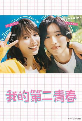 绵阳网站优化哪家专业